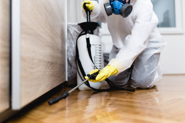 Best Pest Removal Services  in Colonial Heights, VA