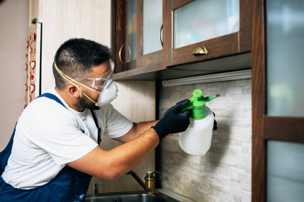 Reliable Colonial Heights, VA Pest Control Solutions