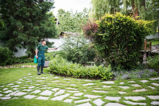 Best Pest Control for Homes  in Colonial Heights, VA