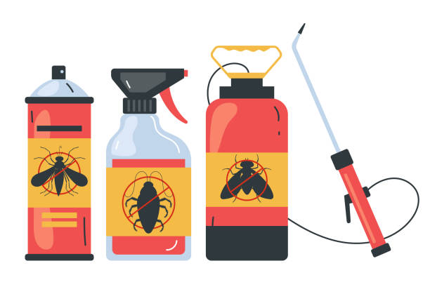Best Local Pest Control Services  in Colonial Heights, VA