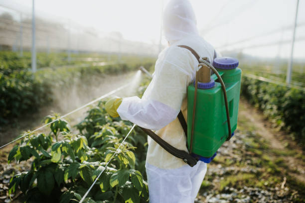 Best Ant Control Services  in Colonial Heights, VA